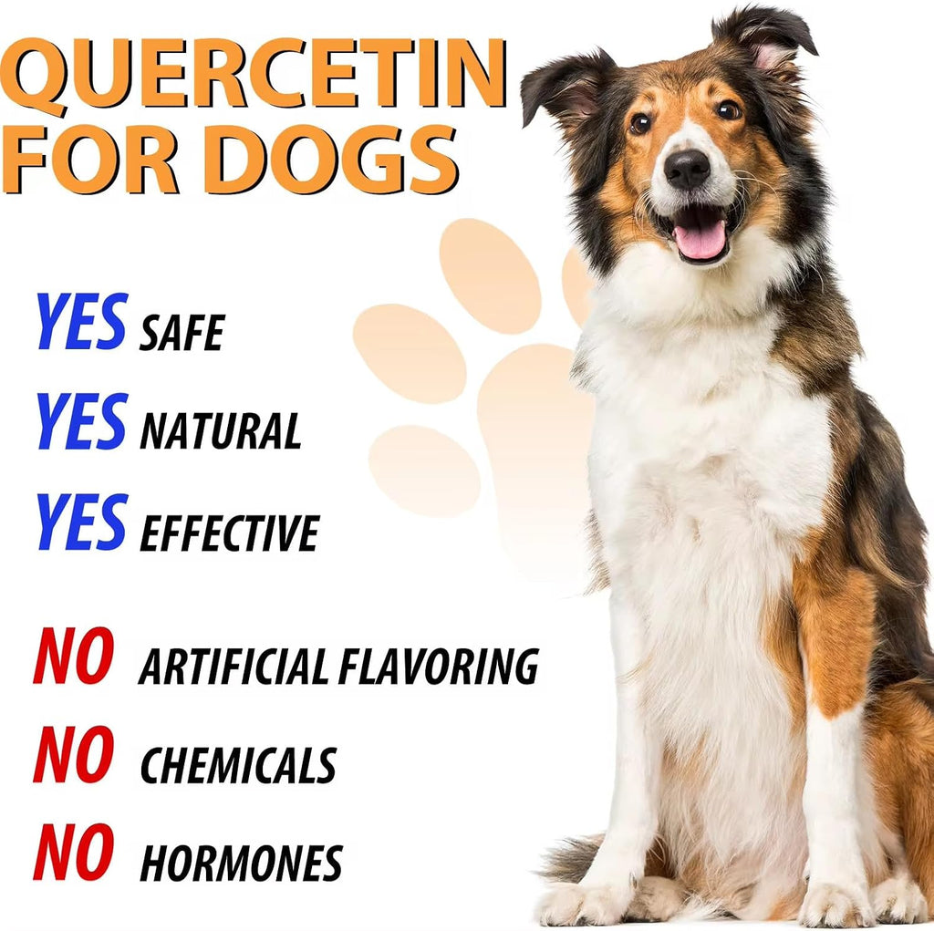 Quercetina para Perros - Alivio de Alergias - Gotas Líquidas Suplemento Herbal - Refuerzo Inmunológico, Antioxidante - 60 ml