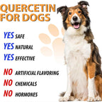 Quercetina para Perros - Alivio de Alergias - Gotas Líquidas Suplemento Herbal - Refuerzo Inmunológico, Antioxidante - 60 ml