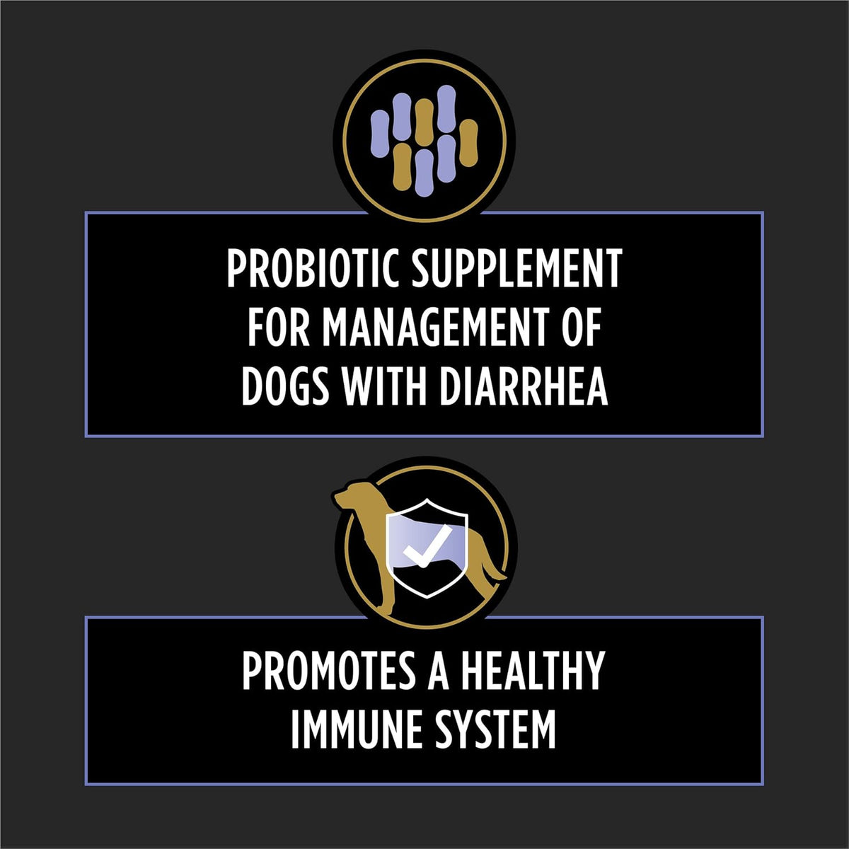 Purina Pro Plan Veterinary Supplements – Mejora de la absorción de nutrientes: una flora intestinal sana facilita – Image 3