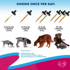 Beloved Pets Gotas Naturales para el Cuidado Urinario de Perros y Gatos con Cranberry y D-Manosa