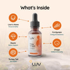 Flow Drops® – Suplemento de Setas Adaptógenas para Energía y Claridad Mental – Vegano – 90 Dosis