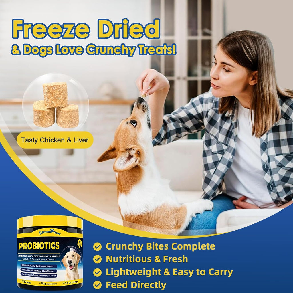 Probióticos para Perros SHINEPAWS - Salud Digestiva, Prebióticos, Enzimas, Fibra y Omega-3, 120 Masticables