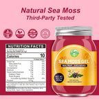 Gel de Seamoss Irlandés Silvestre con Saúco y Jengibre - SumDIP - 524g