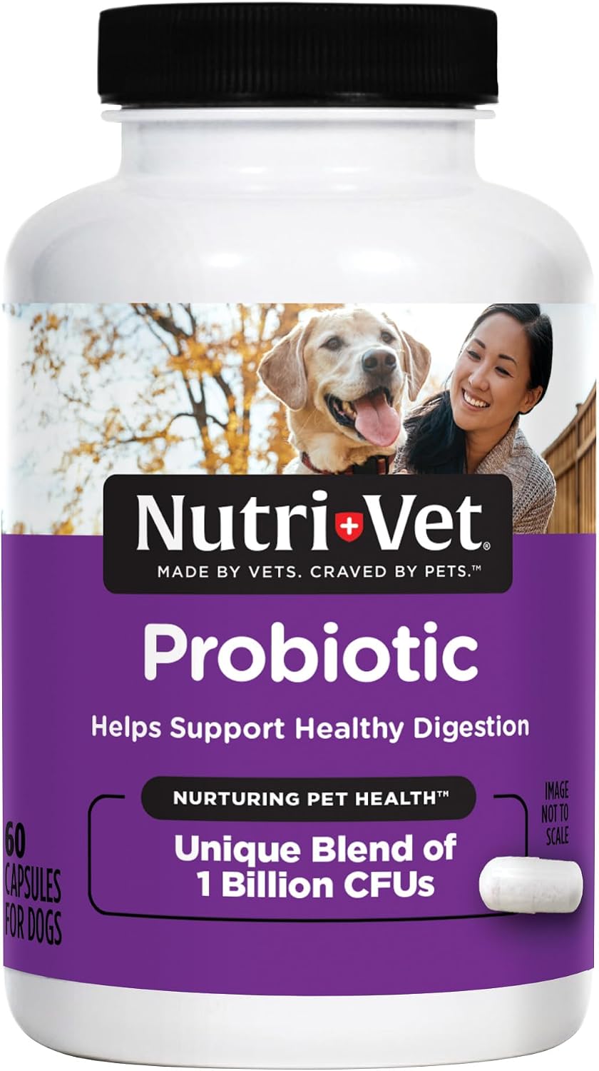Nutri-Vet Probiotics for Dogs - 60 Capsules for Digestive and Immune Health
