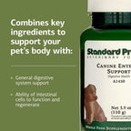 Standard Process Canine Enteric Support - Suplemento Digestivo para Perros - 110 g