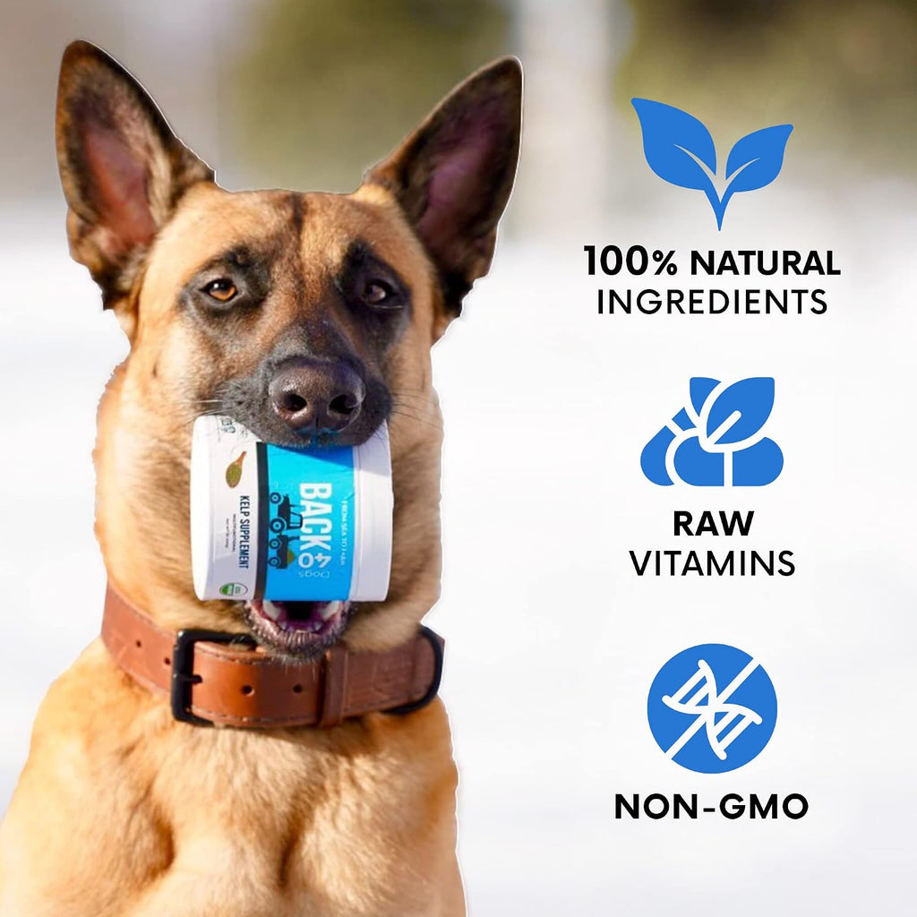 Organic Kelp Powder for Dogs - Alga Kelp Orgánica en Polvo para Perros y Gatos