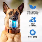 Organic Kelp Powder for Dogs - Alga Kelp Orgánica en Polvo para Perros y Gatos