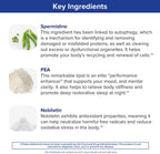 Gundry MD Bio Sync Suplemento para Energía Diurna, Apoya Enfoque y Memoria - (30 Cápsulas)