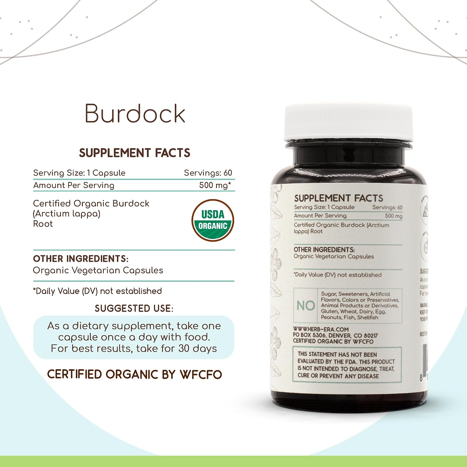 HerbEra Bardana Orgánica USDA - 60 Cápsulas - Suplemento Herbal Natural con Raíz de Bardana (Arctium lappa) Orgánica Certificada - Cápsulas Vegetarianas