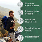 PlantFusion Multivitamínico Orgánico para Hombres - Fórmula Diaria de Alimentos Integrales - Vegano, Sin Gluten, Sin Lácteos - 60 Comprimidos