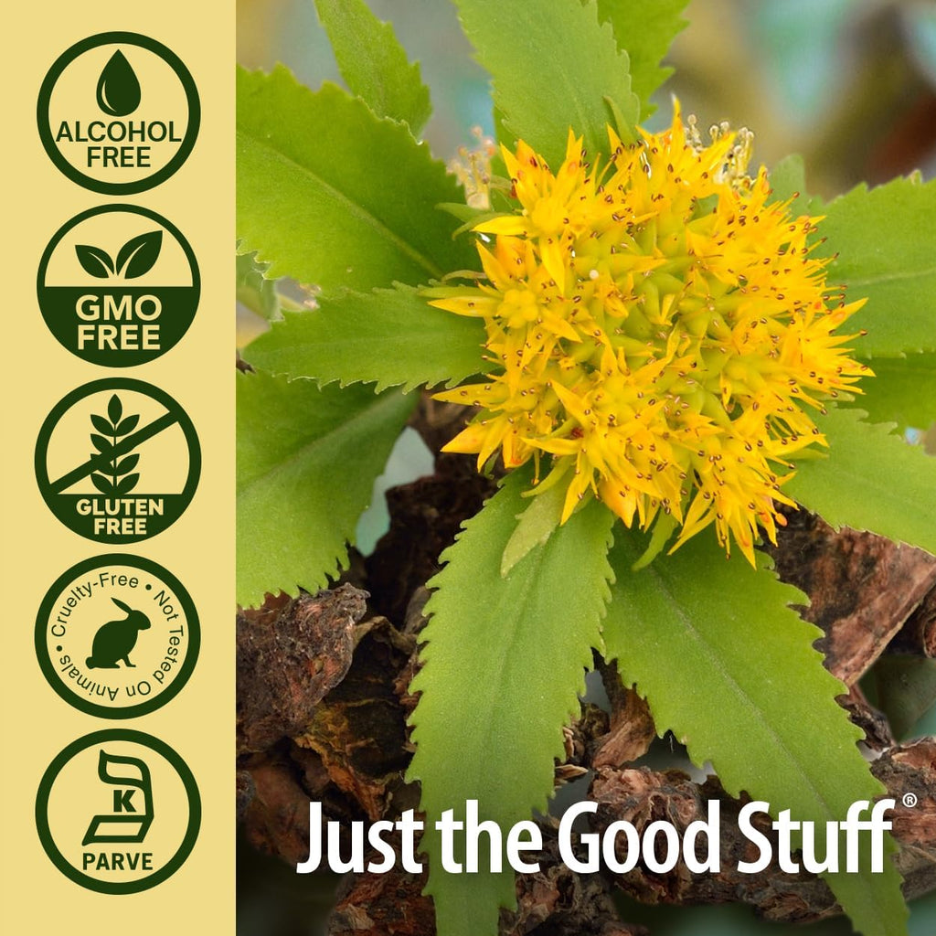 Nature's Answer Alcohol Free Rhodiola Root, 1 Ounce, 2 Count