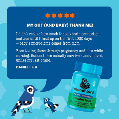 Mama Bird Probiotics - Probiótico Prenatal 50 Mil Millones UFC - 30 Cápsulas – Image 8