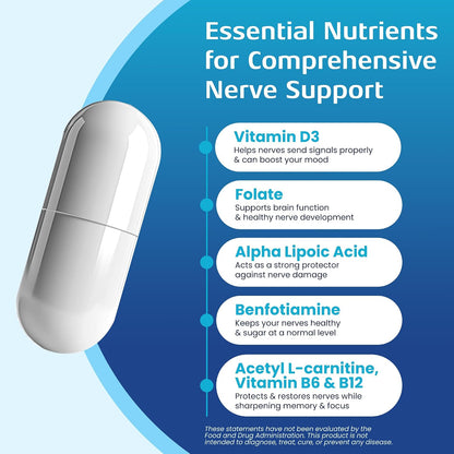 Nerve Recovery Max - Suplemento Avanzado – Acetil-L-carnitina: Importante para el metabolismo energético y la – Image 3