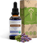 Bugleweed Orgánico USDA – Extracto Sin Alcohol, Alta Potencia, Gotas Herbales 60 ml