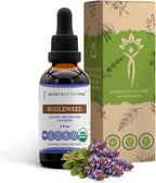 Bugleweed Orgánico USDA – Extracto Sin Alcohol, Alta Potencia, Gotas Herbales 60 ml