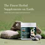 Gaia Herbs Maca en Polvo - Orgánica y Gelatinizada - 227 g (8 oz)