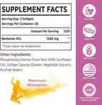 KoNefancy Berberina HCL 1500mg - Cápsulas Liposomales de Alta Biodisponibilidad, Sin OGM, Sin Azúcar, 60 Cápsulas