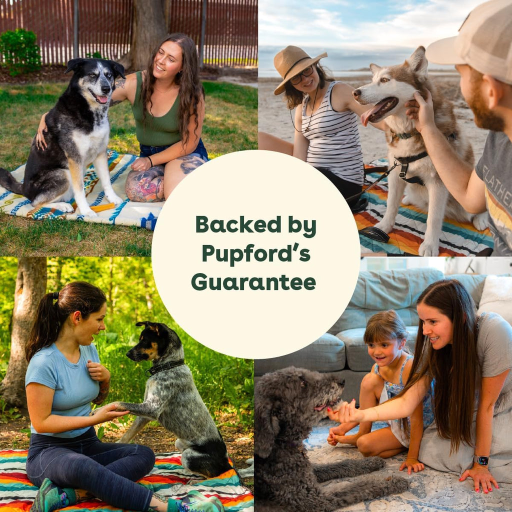Pupford Super Pup 3-en-1 Suplemento Diario para Perros