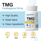Puregen Labs TMG 750 mg – Trimetilglicina de Alta Potencia – Apoya el Metabolismo Normal de la Homocisteína – 120 Cápsulas Vegetales
