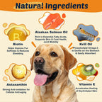 Aceite de pescado omega 3 para perros, aceite de salmón con EPA y DHA - 120 chews - DRFOSTER