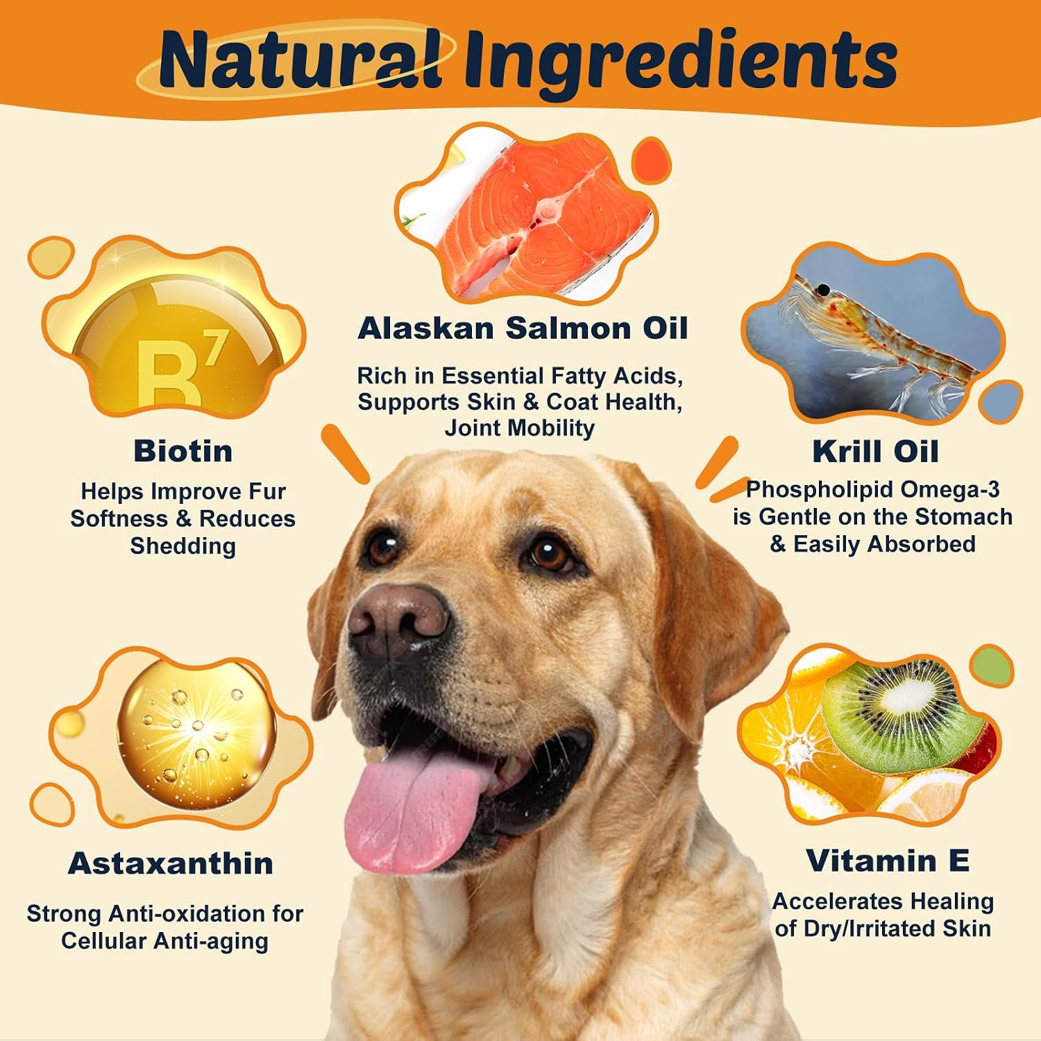 Aceite de pescado omega 3 para perros, aceite de salmón con EPA y DHA - 120 chews - DRFOSTER