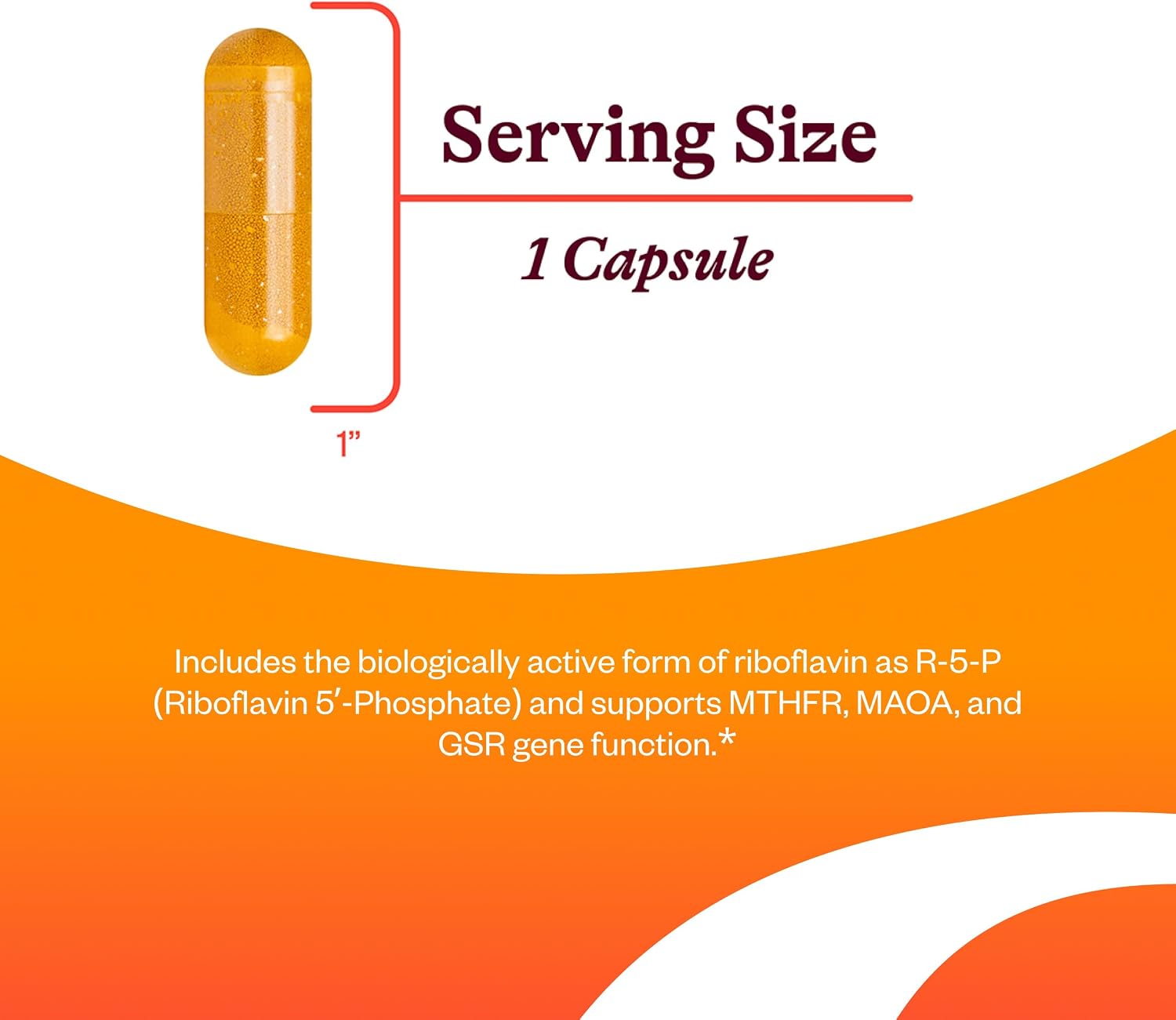 Seeking Health Riboflavina - Suplemento de Vitamina B2 para Apoyo a la Metilación - Apoya el Metabolismo de la Homocisteína con Ingredientes Antioxidantes - 400 mg, 60 Cápsulas