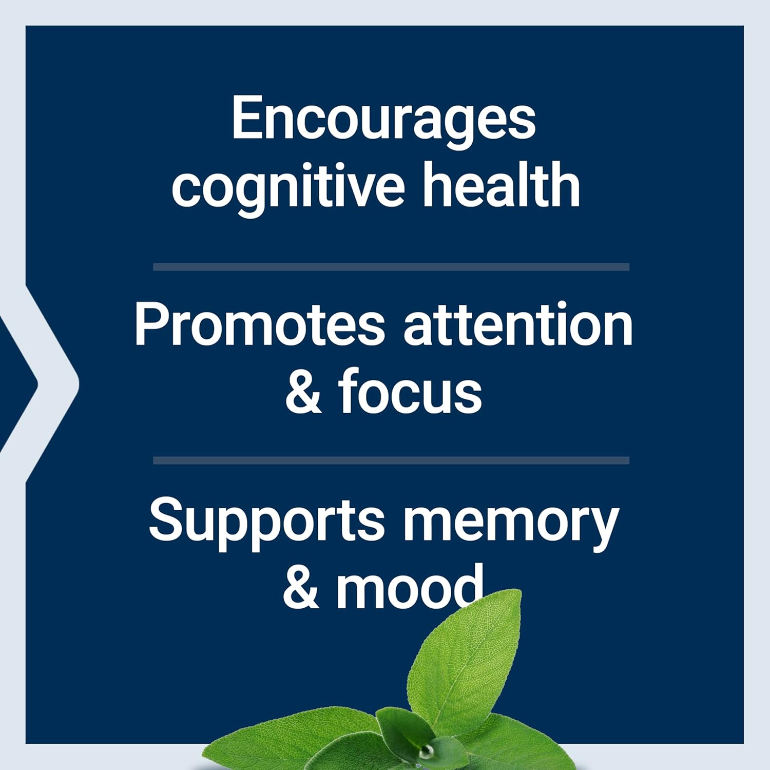 Life Extension Cognitex Elite, 60 comprimidos – con salvia, arándano, ashwagandha, fosfatidilserina y vinpocetina