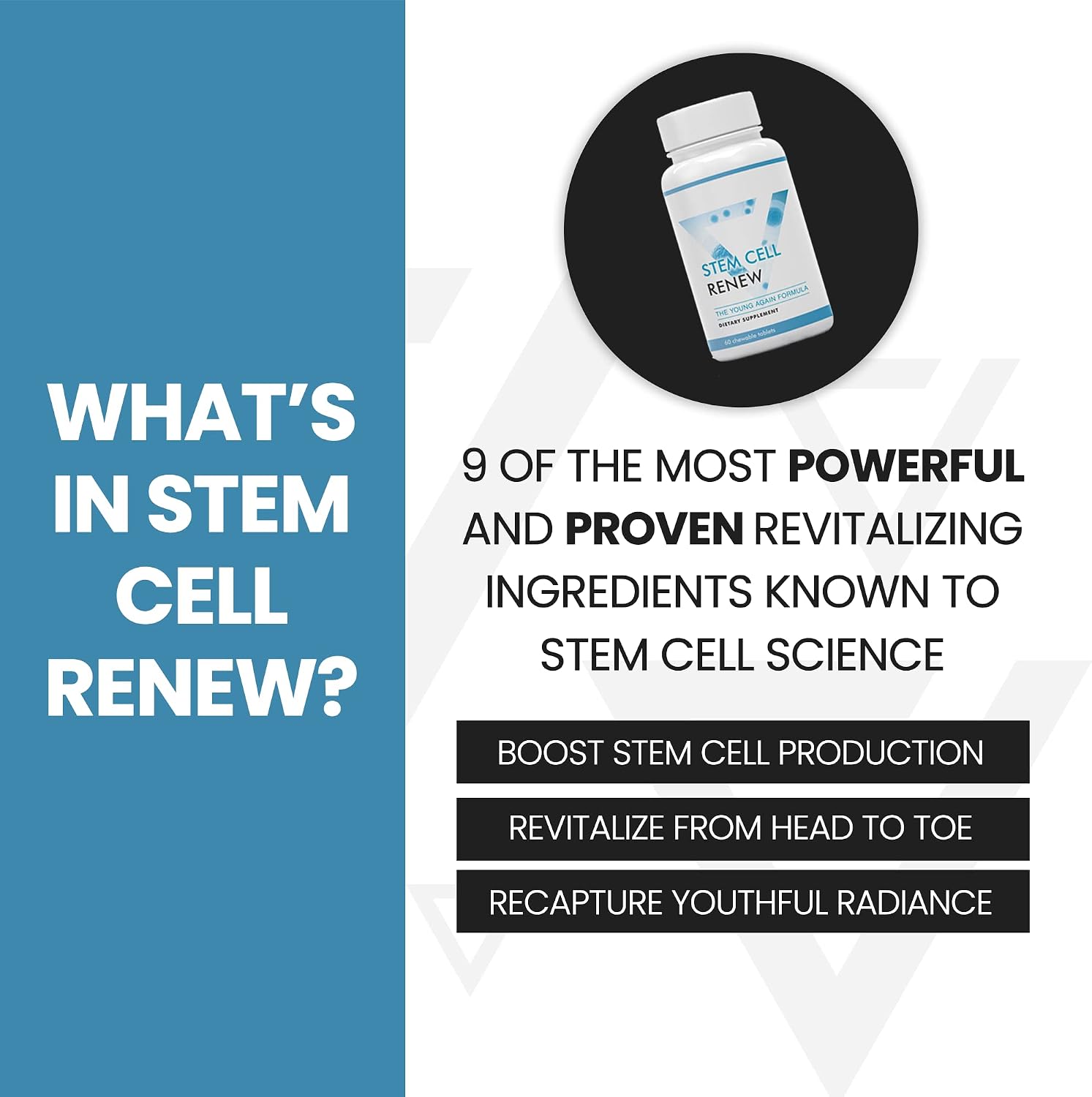 Stem Cell Renew - Complemento para el Apoyo de Células Madre (60 cápsulas)