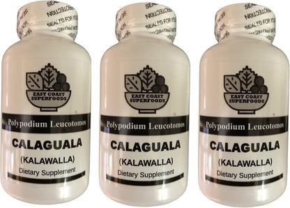 Calaguala 500 mg - 100 Cápsulas de Polypodium Leucotomos – Image 5