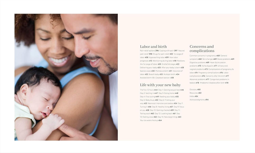 Pregnancy Day by Day: Count Down Your Pregnancy Day by Day with Advice from a Team of Experts