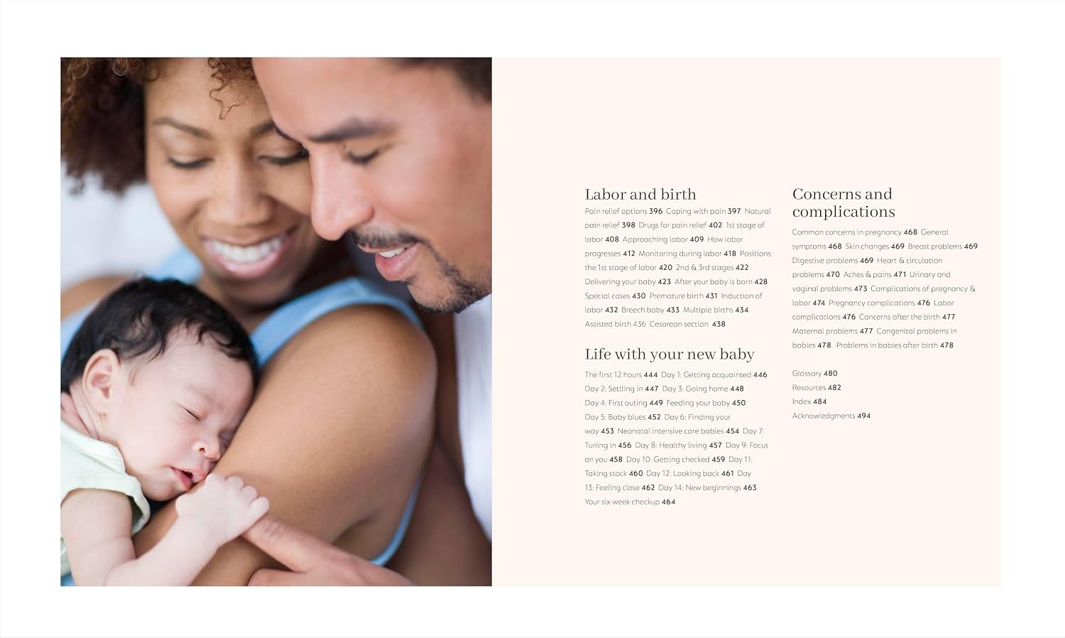Pregnancy Day by Day: Count Down Your Pregnancy Day by Day with Advice from a Team of Experts