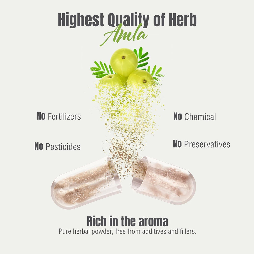 Herbsforever Amla (Grosella India) – 60 Cápsulas Veganas de 950mg
