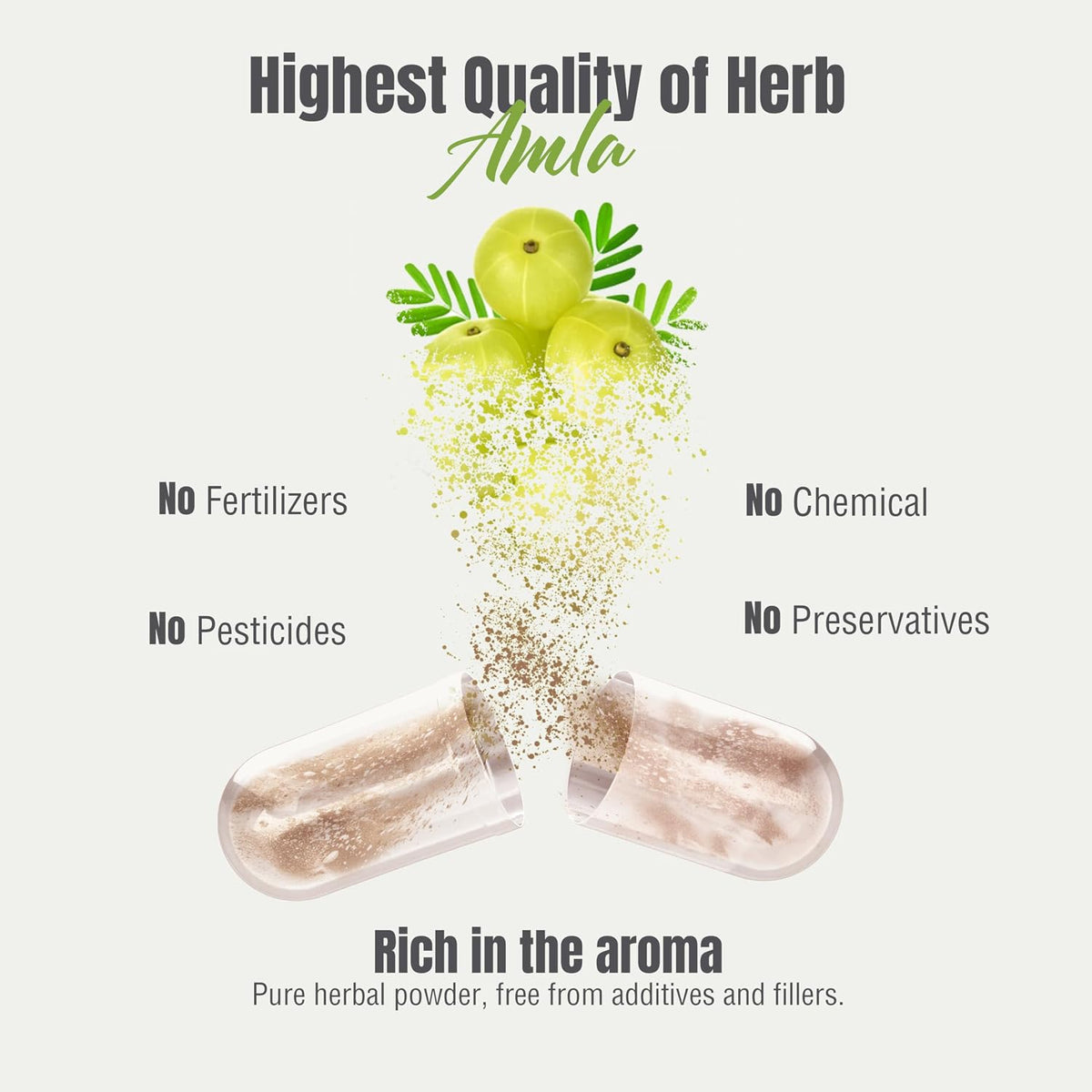Herbsforever Amla (Grosella India) – 60 Cápsulas Veganas de 950mg – Image 4