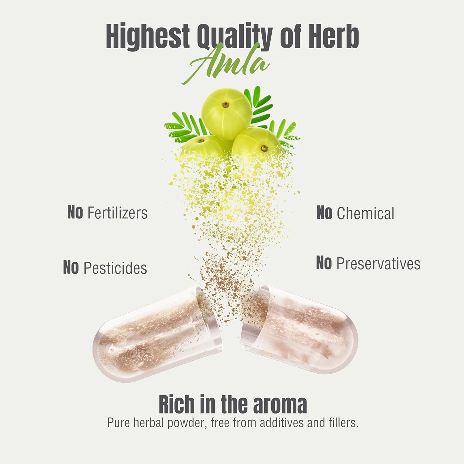 Herbsforever Amla (Grosella India) – 60 Cápsulas Veganas de 950mg