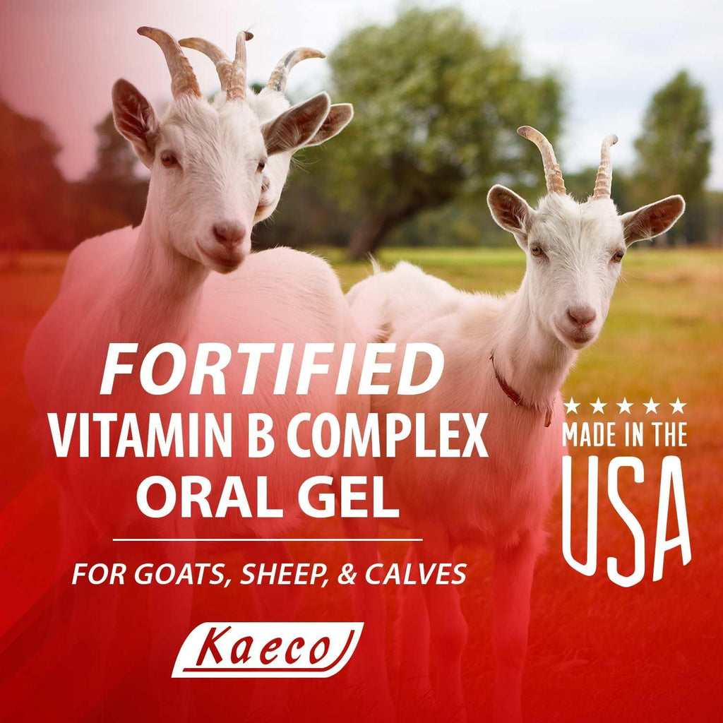 Gel Vitamínico B Complex 30 ml