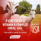 Gel Vitamínico B Complex 30 ml