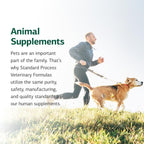 Standard Process VF Bio-Dent for Pets - 90 Tablets