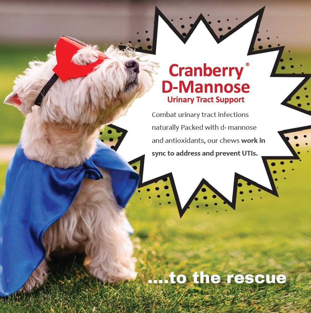 Cranberry and D-Mannose Supplement for Urinary Tract Health in Dogs and Cats - 120 Soft Chews