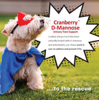 Cranberry and D-Mannose Supplement for Urinary Tract Health in Dogs and Cats - 120 Soft Chews
