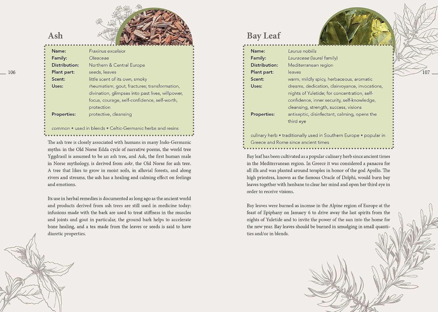 The Complete Smudging Handbook: 67 Herbs, Woods, and Resins for Clearing and Emotional Balance