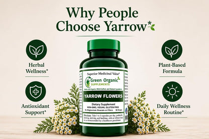 Yarrow Flower, 90 VCaps, Non-GMO, Gluten-Free, (Pack of 1) – Image 3