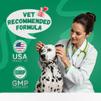 60 Count Probiotics Soft Chews – Made in The USA – Supplements for Gut Health, Digestive Support, Immune Support & Diarrhea Relief – Beef Flavor Dog Probiotic