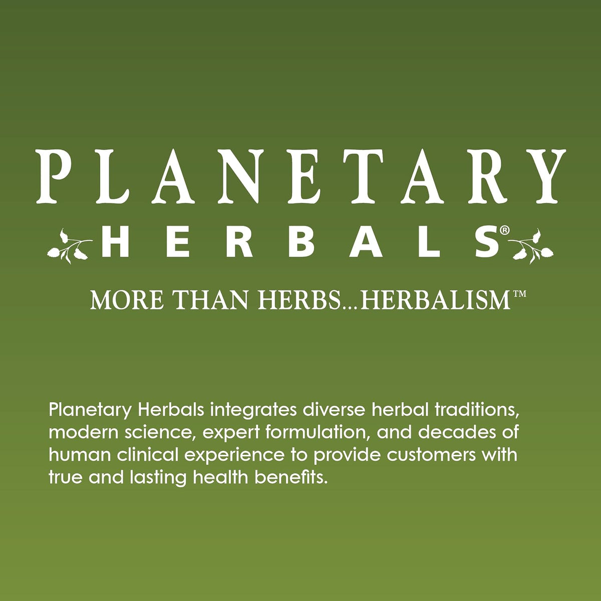 Planetary Herbals Kudzu Recovery 750 mg - 120 Comprimidos – Image 5