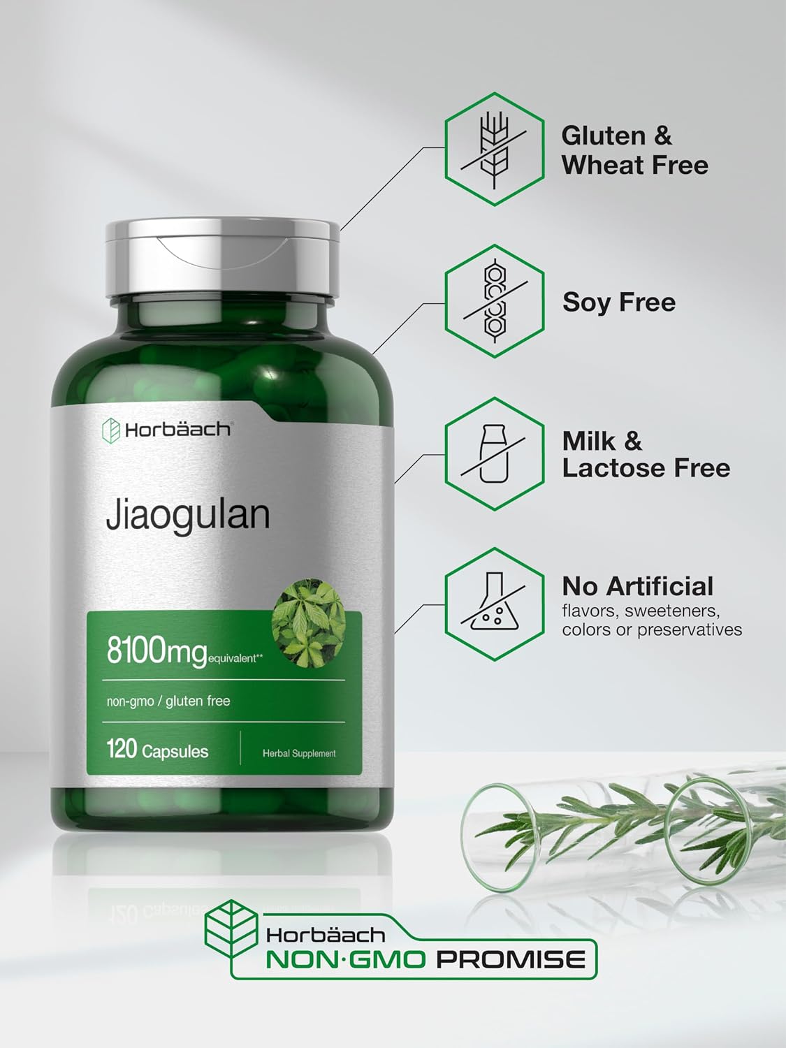 Horbäach Jiaogulan Cápsulas | 120 Unidades | Extracto de Gynostemma Pentaphyllum | Suplemento para la Vitalidad y Resistencia | No Transgénico, Sin Gluten