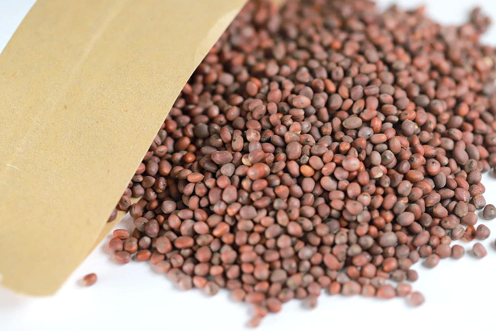 Raphani Semen Lai Fu Zi - Semilla de Rábano, 170 g