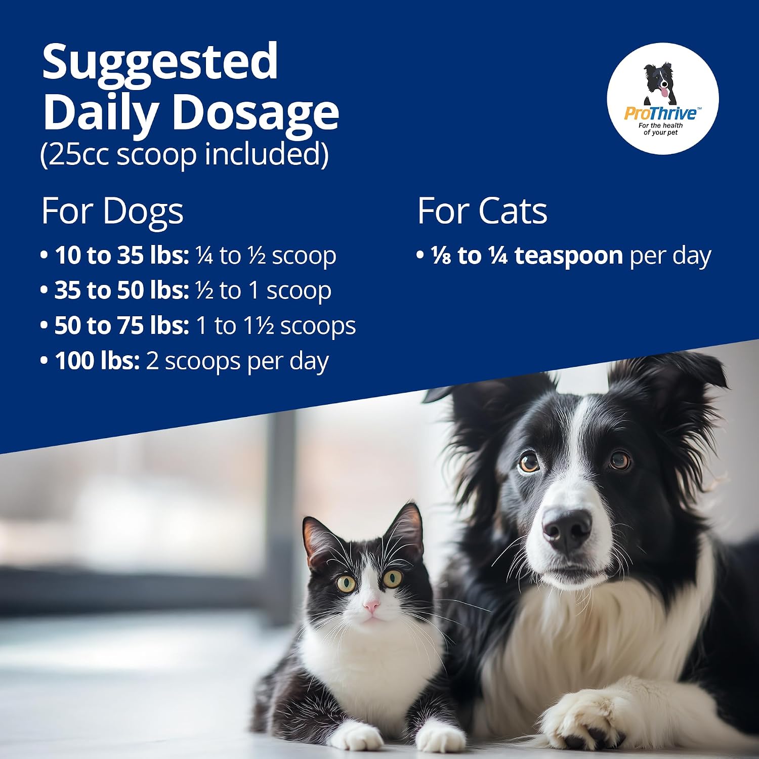 PROTHRIVE Spunky Digestive Supplement - Probióticos, Enzimas Digestivas, Soporte Articular para Perros y Gatos - 227g