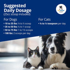 Spunky Digestive Supplement - Probióticos, Enzimas Digestivas, Apoyo Articular para Perros y Gatos | Salud Intestinal | Probióticos para Perros y Gatos - 2.27 kg