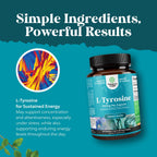 Free Form L-Tirosina 500mg Cápsulas - Suplemento de L-Tirosina de Alta Potencia para el Apoyo de la Energía Mental y el Enfoque - Aminoácido Nootrópico para el Estado de Ánimo, Atención y Cognición - 60 Cápsulas