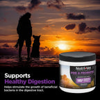 Nutri-Vet Pre & Probiotics for Dogs, 120 Chews, Liver & Cheese Flavor