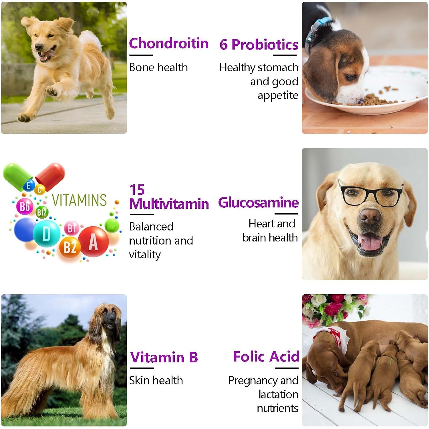 15-in-1 Multivitamínico para Perros con Glucosamina y Probióticos - Masticables Naturales Sabor Pato, 150 Piezas